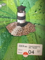 Small conocimiento del medio 4  primaria mundo agua edelvives el giralibro